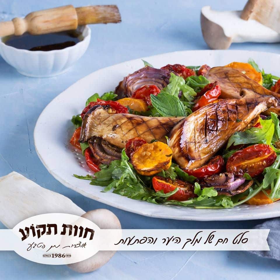 צילום שרית גופן