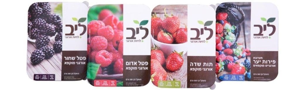 צילום שי נייבורג