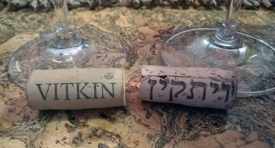 צילום דוד סילברמן dpsimages
