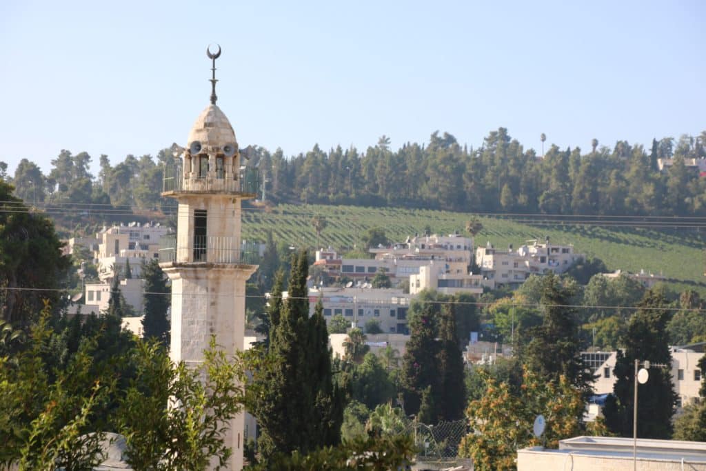 צילום נאוה מובשוביץ