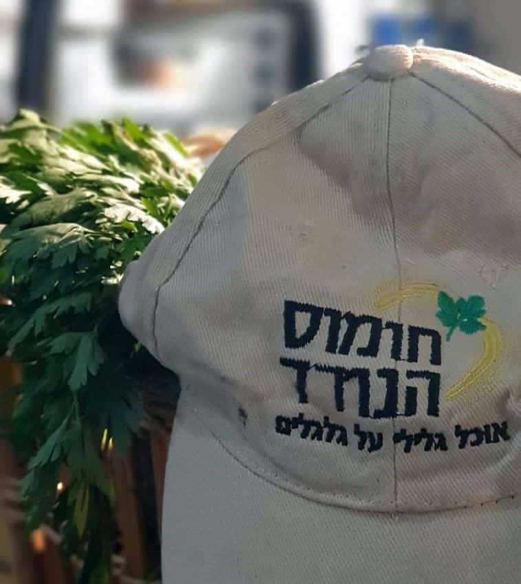 צילום כפיר גליקו