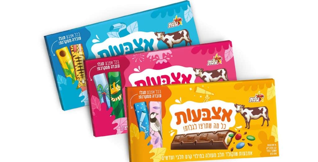 צילום סטודיו שטראוס