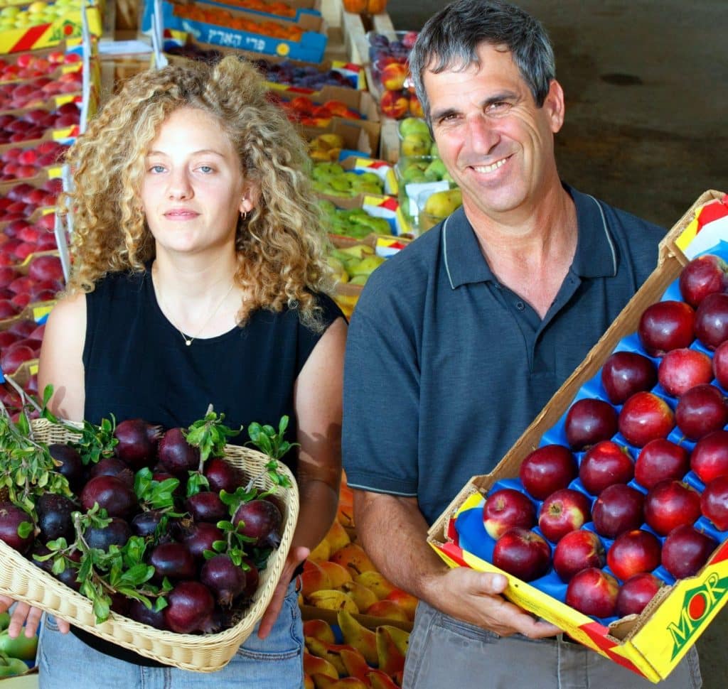 החוקרים לירי סנדל ושמעון זית מציגים זני תפוחים ורימון שחור לראש השנה. צילום החברה לפיתוח הגליל