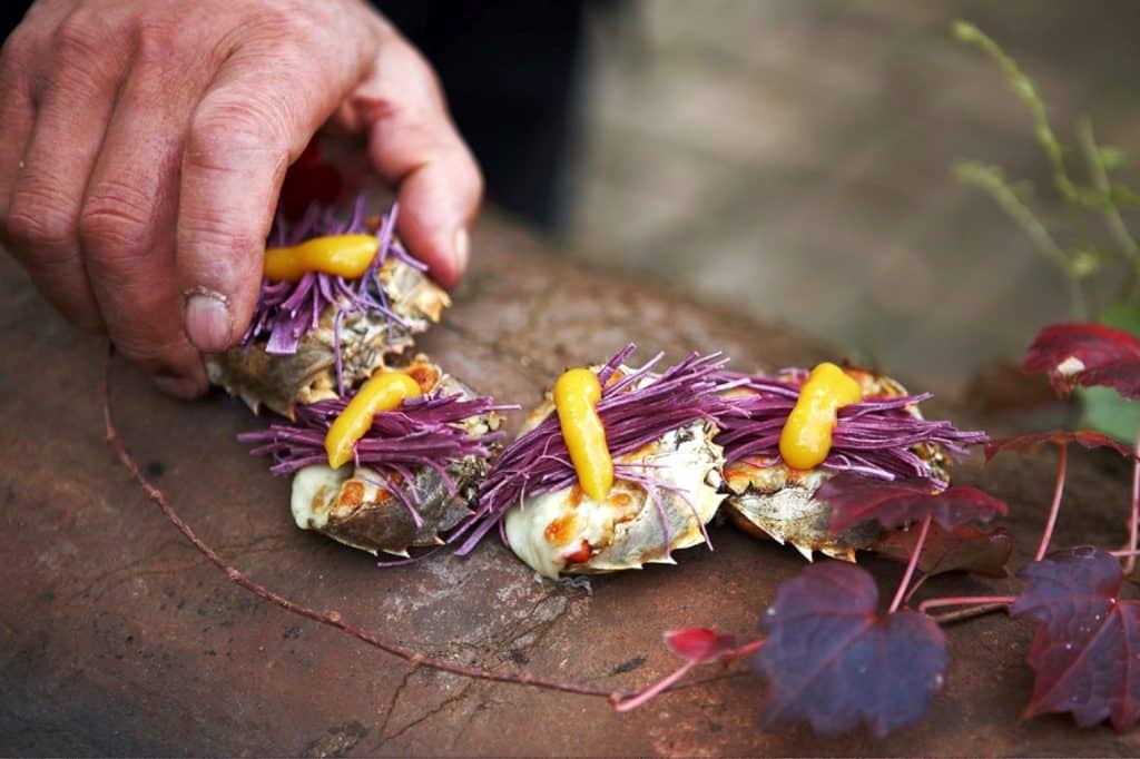 השף הנודד ((The Wandering Chef -ג'יהו אים שידוע בכינוי 'השף הנודד' נוסע ברחבי דרום קוריאה ומחפש אחר מרכיבים מיוחדים בעלי יכולת ריפוי. צילום סאק הו ג'ונק