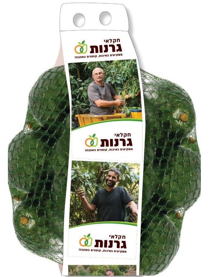 צילום מעין עופר