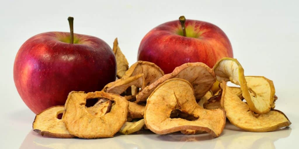 צילום pixabay