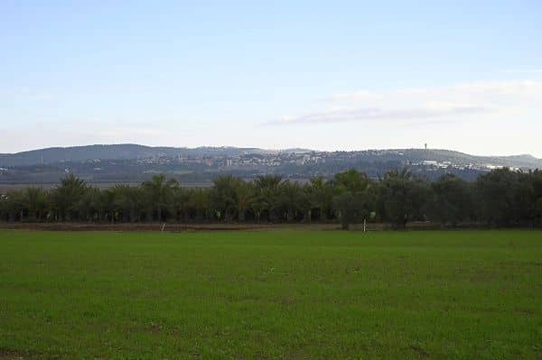 רגע לפני הפסטיבל יצאנו לעמק יזרעאל הירוק כדי לפגוש את האנשים שחיים בעמק, לחוות חלק מהאטרקציות המתוכננות וכמובן לטעום ולהכיר יותר לעומק. צילום איריס לוי