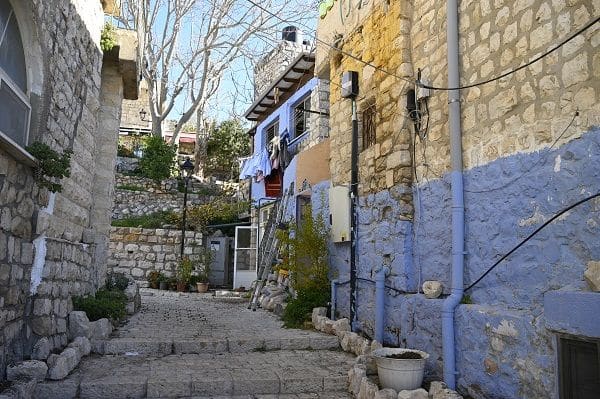 צילום איריס לוי