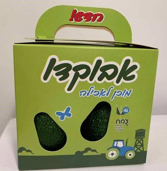 צילום צמח