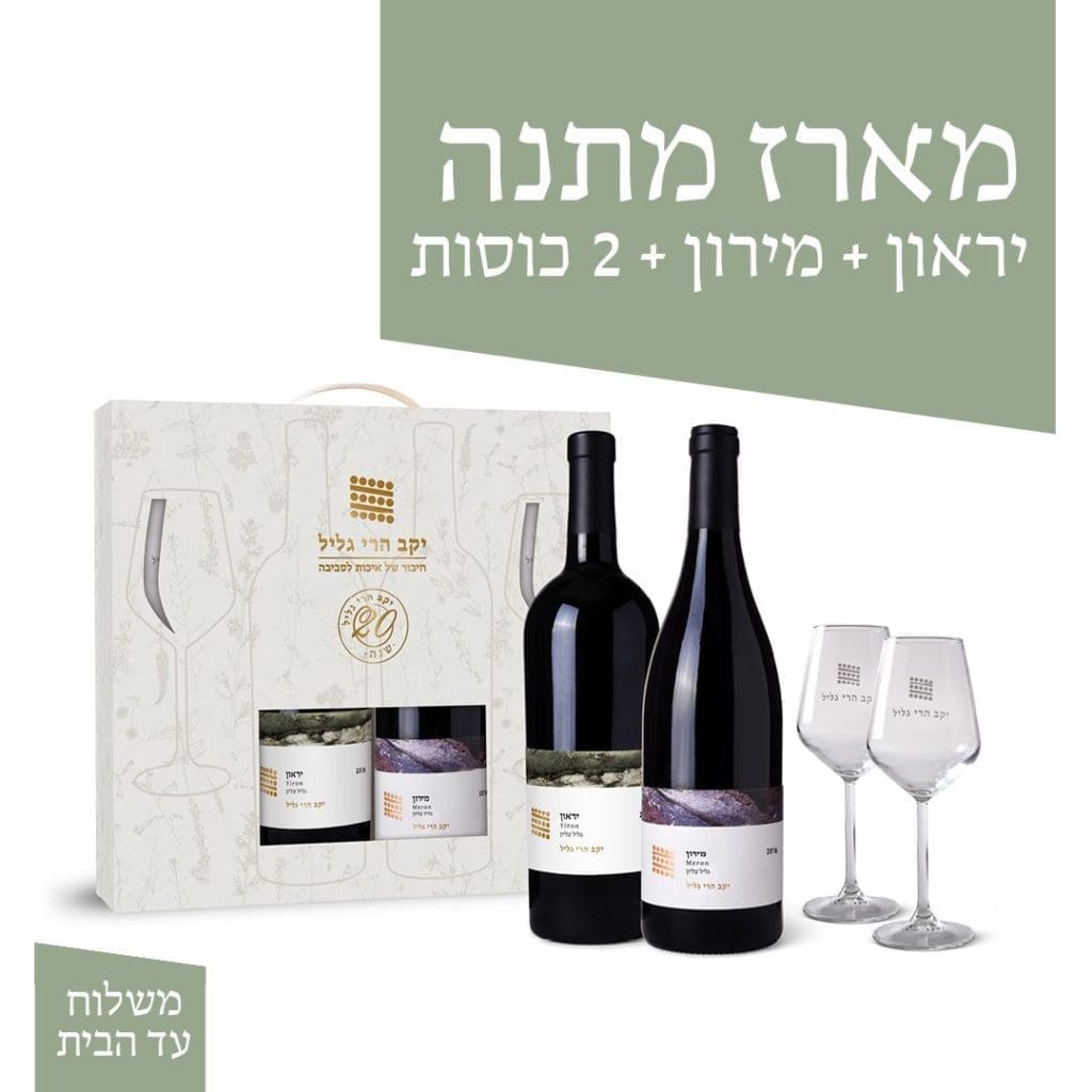 דדלוס
