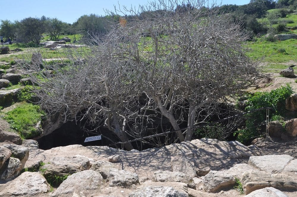 מערת מסתור. צילום איריס לוי