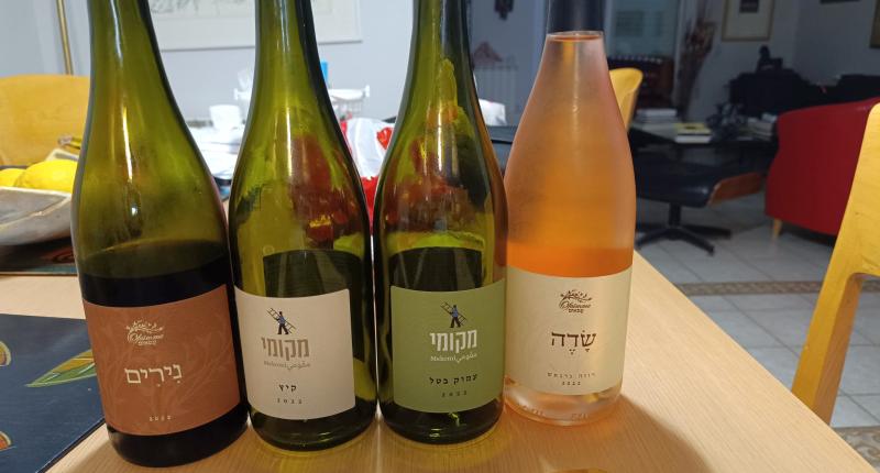 יינות טעימת עפאים. צילום יונתן לבני
