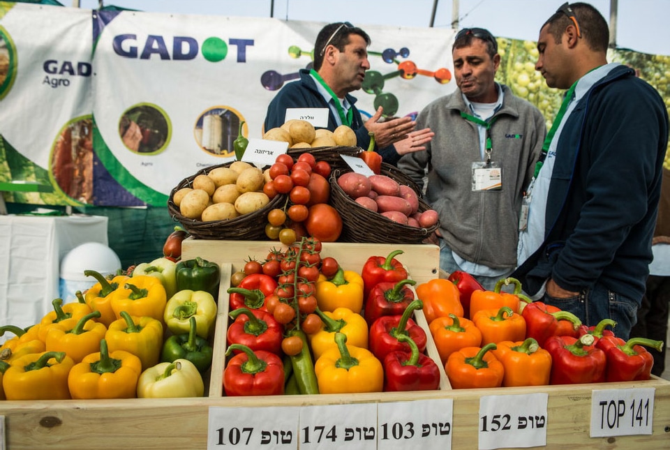 מסעדות בלב המדבר – בתערוכה החקלאית הגדולה בישראל