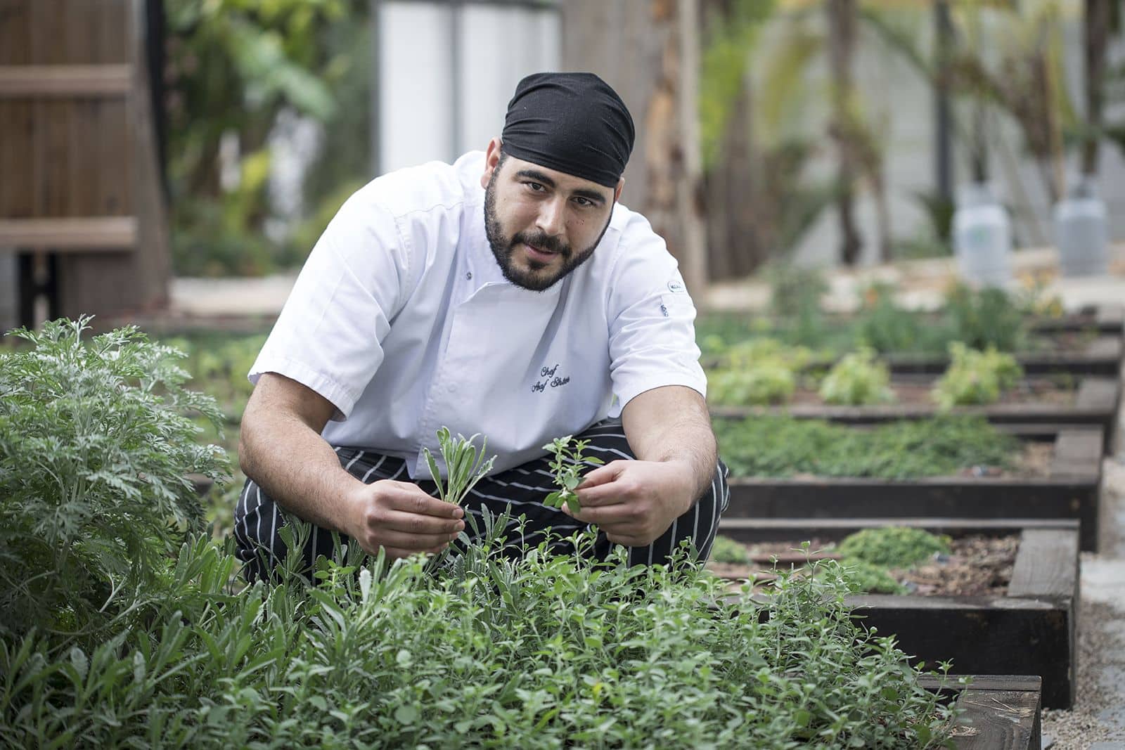 מסעדת השף אברטו – חגיגת טעמים חדשה בגדרה