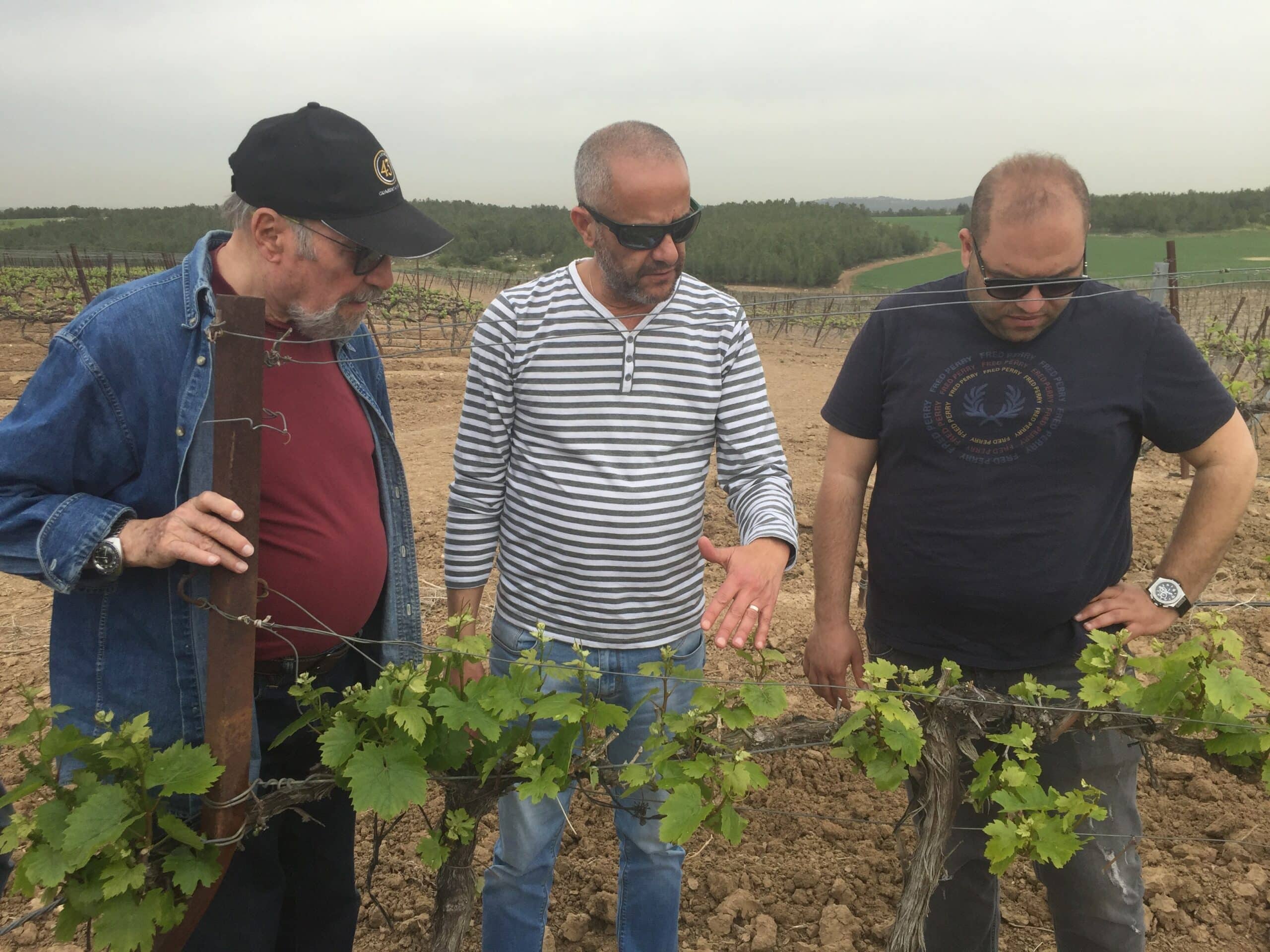השבוע בענף היין 79: יקב צנוע ויקב עם מחירים מופרזים