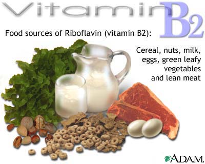  ויטמין B2 נלחם ברדיקלים חופשיים, משתתף בתהליכי ייצור אנרגיה ובהתפתחות תקינה של תאי דם אדומים