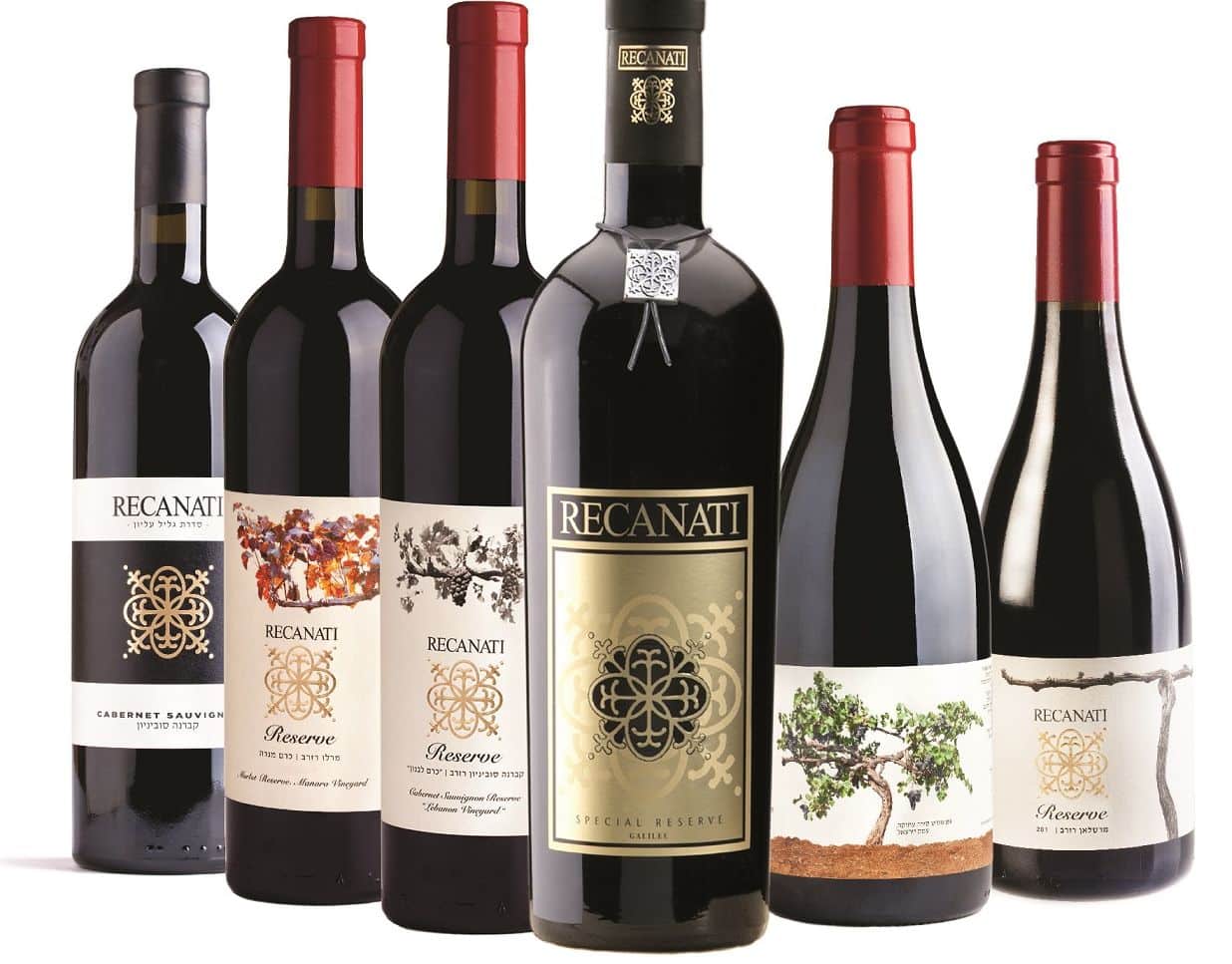 6 מדליות זהב לרקנאטי בתחרות Challenge International du Vin בצרפת