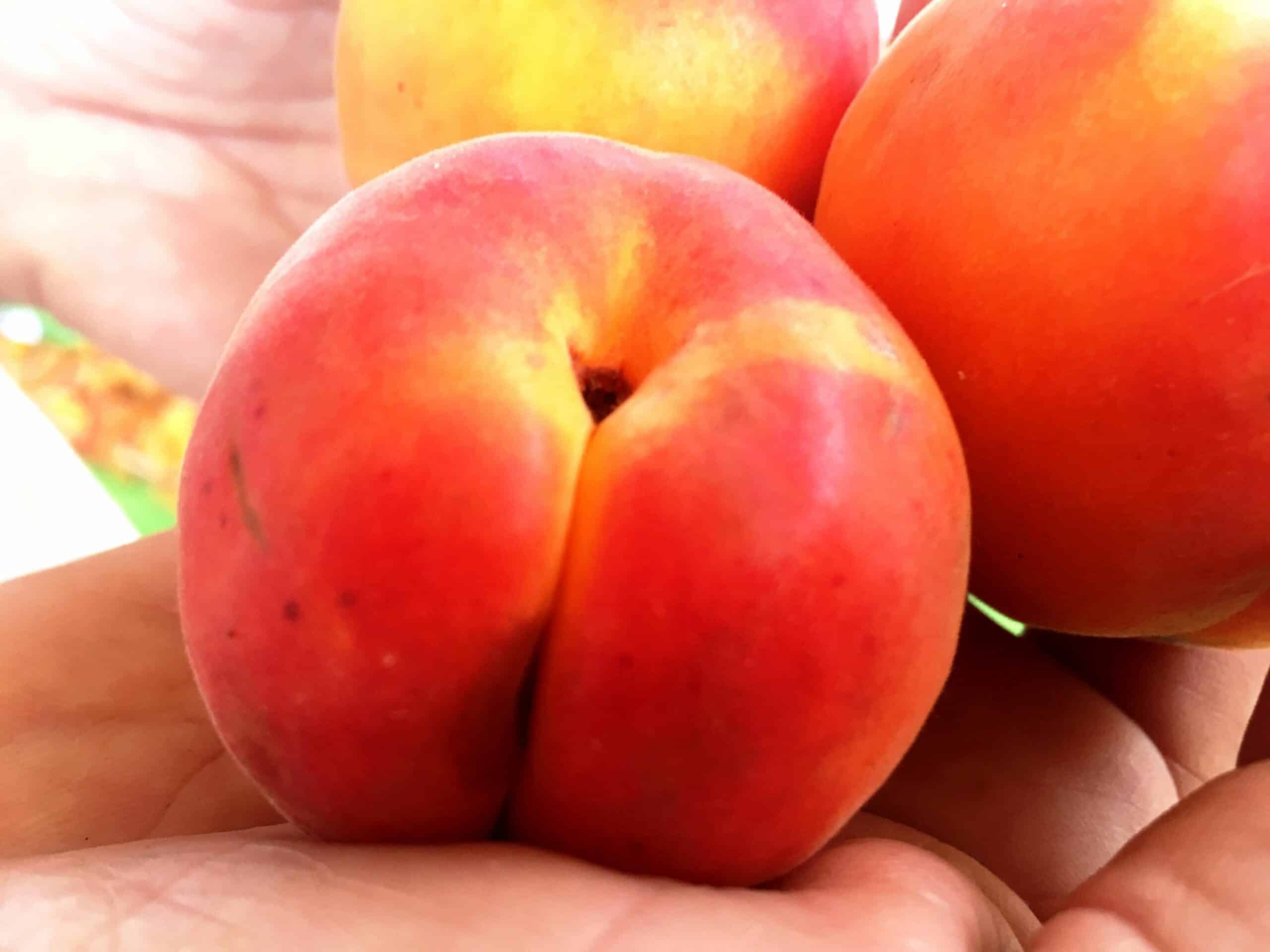 האם הגיע הסוף לצבע הכתום של המשמש?