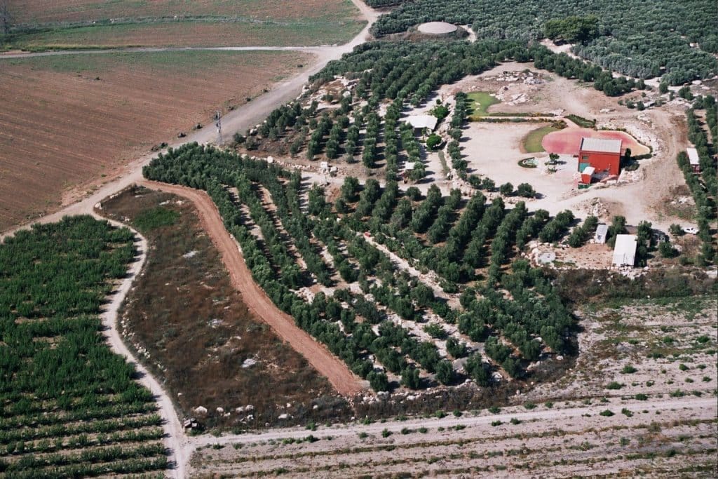 המפעל לייצור שמן זית והכרם ממוקמים בפסגת תל גזר (בסמוך לאורוות שלמה המלך), משקיפים פנורמית לים ועד ירושלים