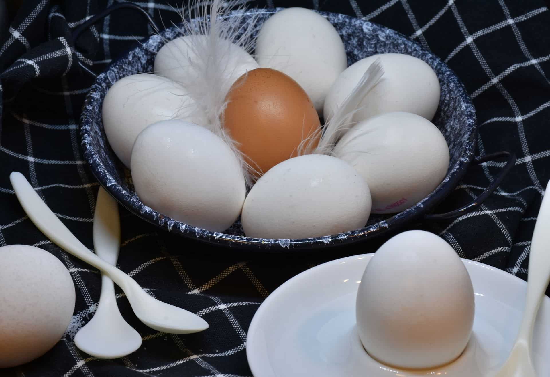 תכולת החלבון והברזל הגבוהה בביצים הופכת אותן למזון מומלץ גם עבור אוכלוסיות ספציפיות כגון ספורטאים בשל כמות החלבון הגבוהה או חולי כליות כחלק מהתפריט המצומצם המותר להם