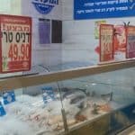 גם דגי הבריכות אוכלים כשר לפסח