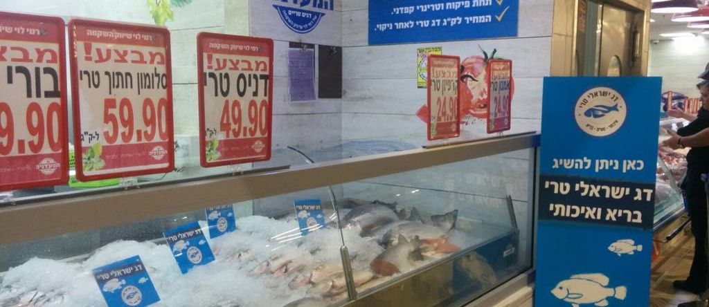 גם דגי הבריכות אוכלים כשר לפסח