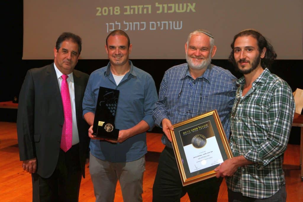 צילום דוד סילברמן dpsimages