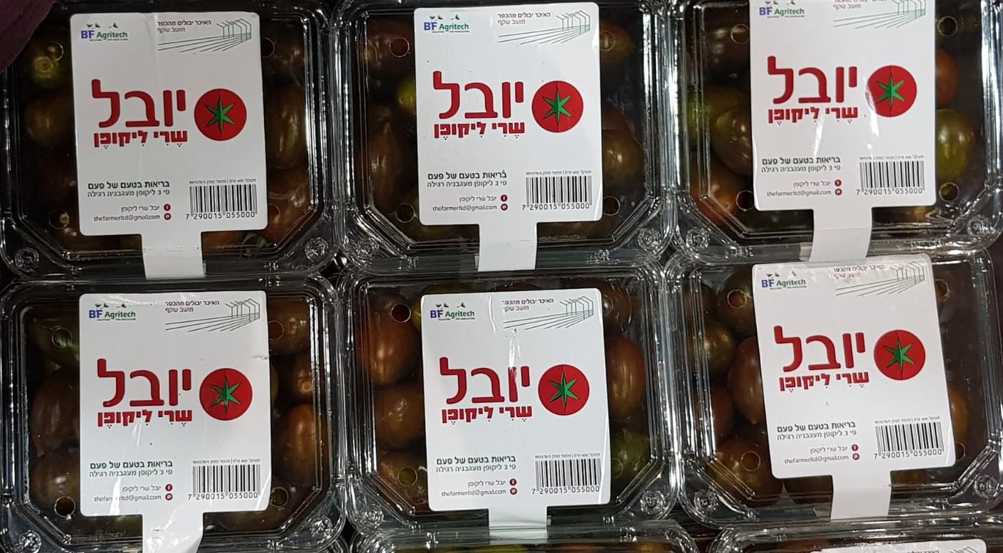 סקר מגלה: צרכנים מבוגרים רגילים לקנות פירות וירקות בתפזורת וצעירים מעדיפים מארזים סגורים וממותגים