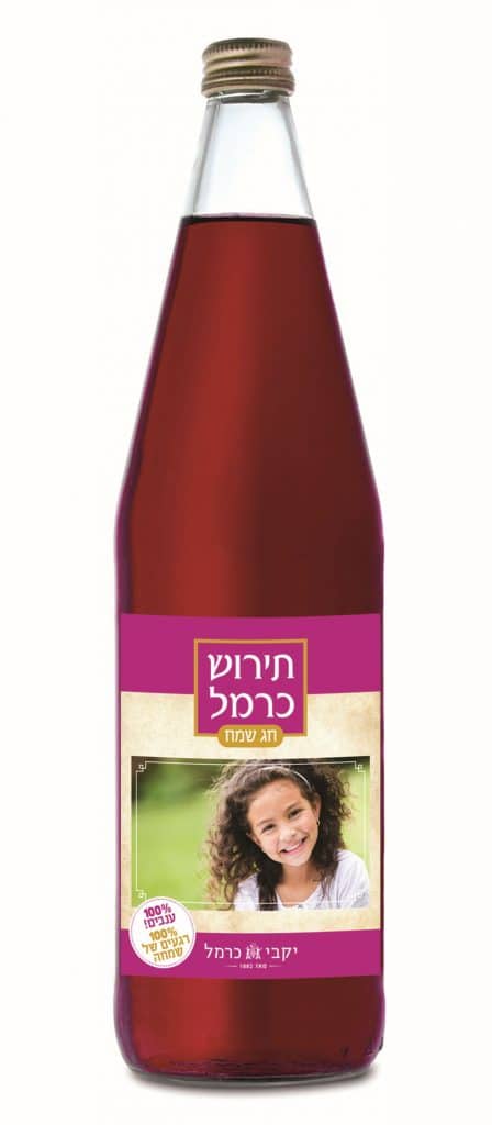 צילום אבי לוי