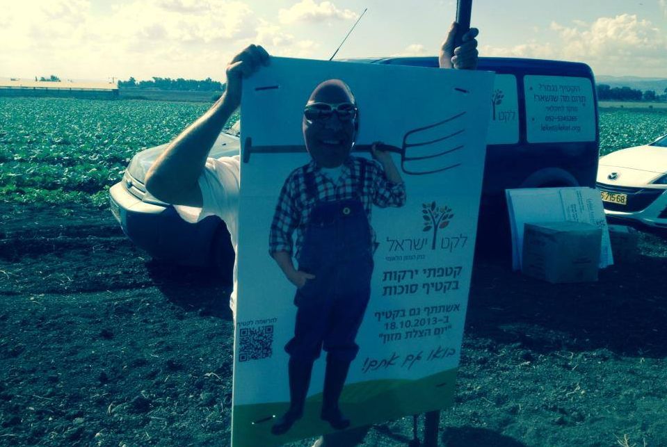 הישג לארגון לקט ישראל: הכנסת אישרה את החוק לעידוד והצלת מזון