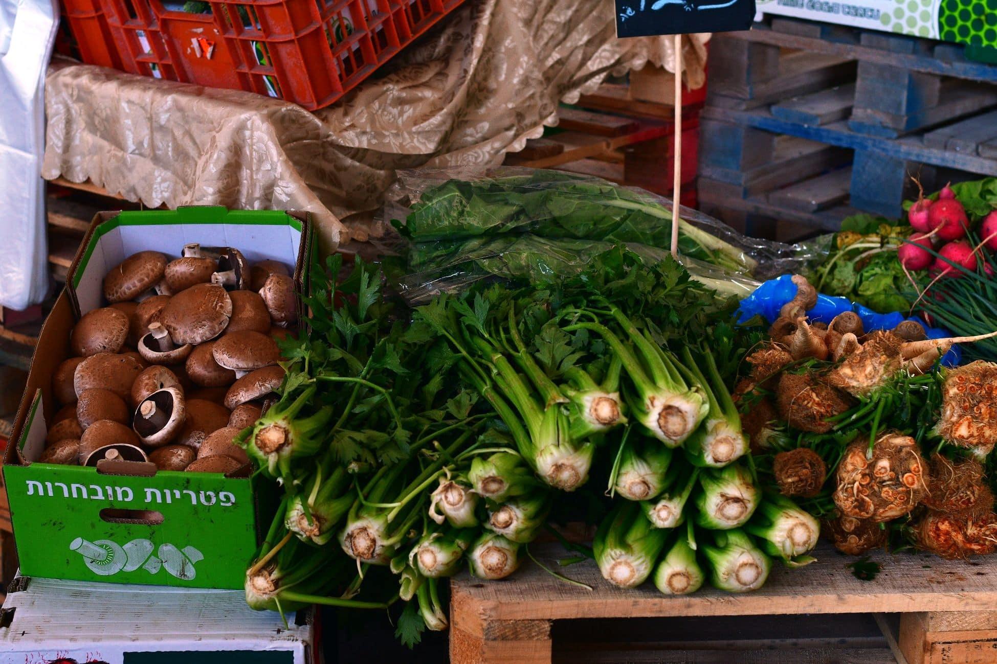 היישר מהשדה – תוצרת צפון הנגב באשכול Market ושוק איכרים ומעצבים בכוכב מיכאל