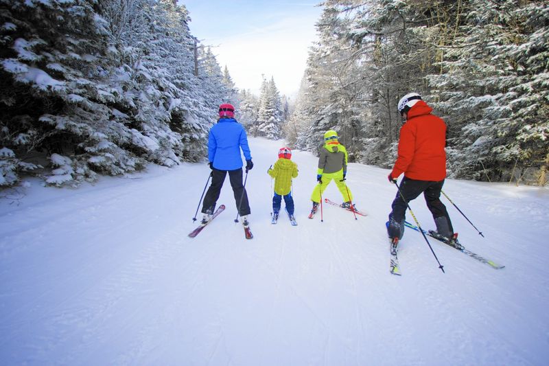 היעדים נבחרו על בסיס מטיילים שביקרו וגלשו ביעדים שקיבלו לפחות 500 המלצות בקטגוריית "סקי" ועברו מיון לפי מידת ההמלצה שלהם כ"ידידותיים למשפחות". צילוםOkemo Mountain Resort