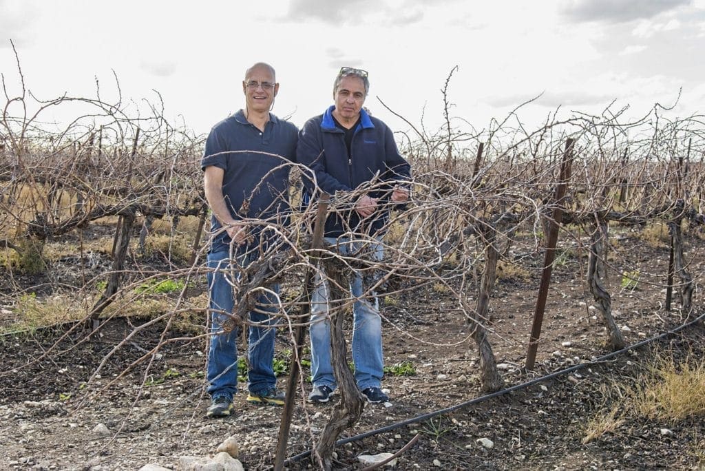 פרופ' עודד שוסיוב וזורי ארקין מיקב ברבדו – חלוצי העקה לגפנים. צילום איל גוטמן