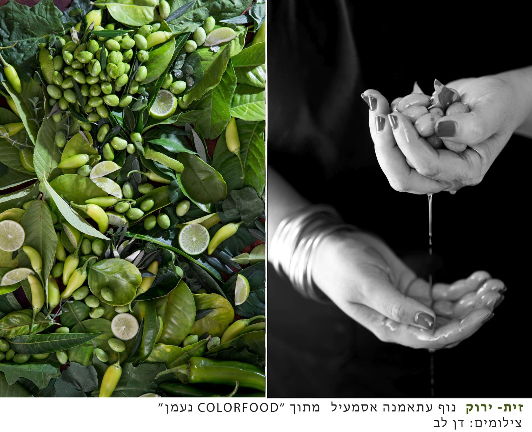 זית ירוק – השפית נוף עתאמנה אסמעיל מתוך תערוכת COLORFOOD נעמן. צילום דן לב