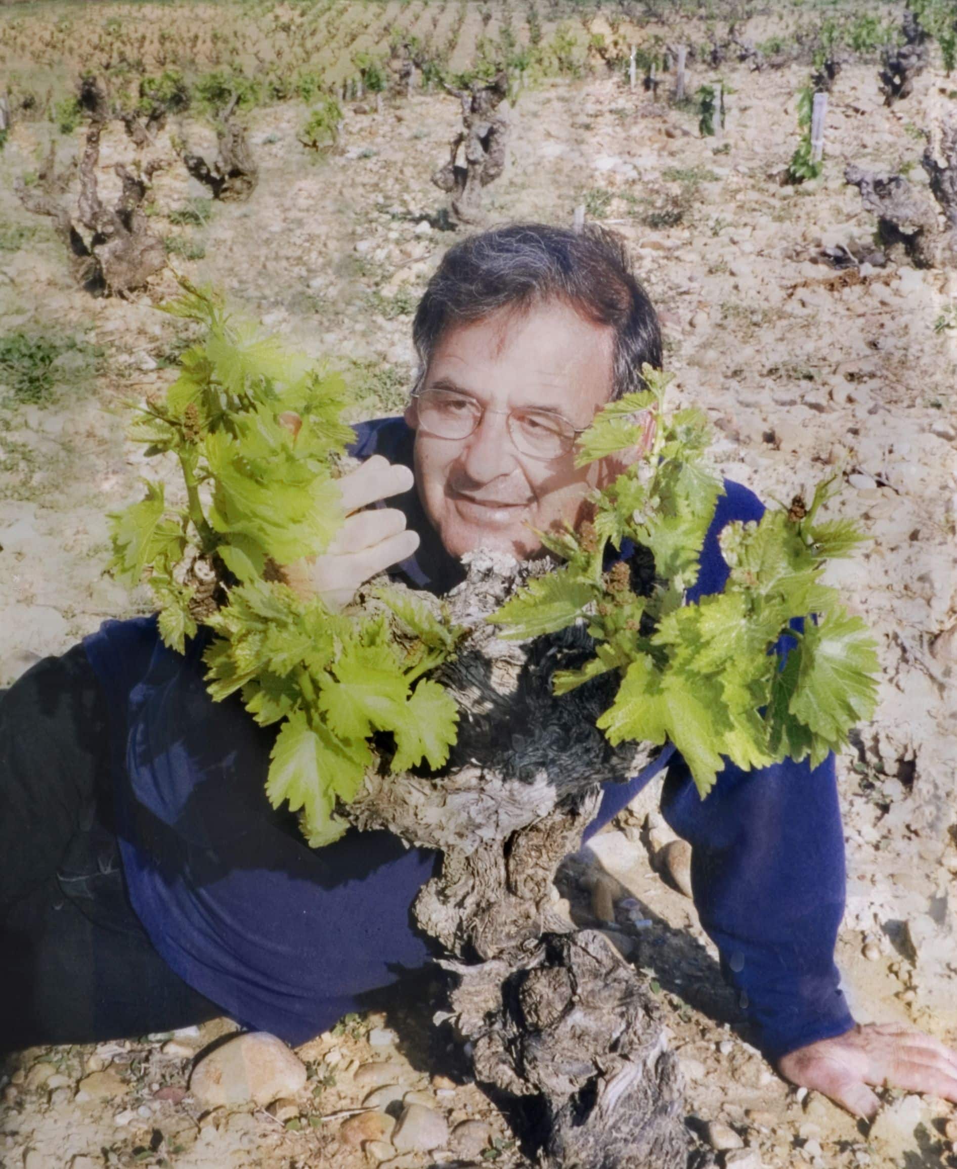 רוני ג'יימס - מייסד, כורם, יינן יקב צרעה. 1945-2008. התמונה צולמה בשאטונף דה פאפ שבצרפת