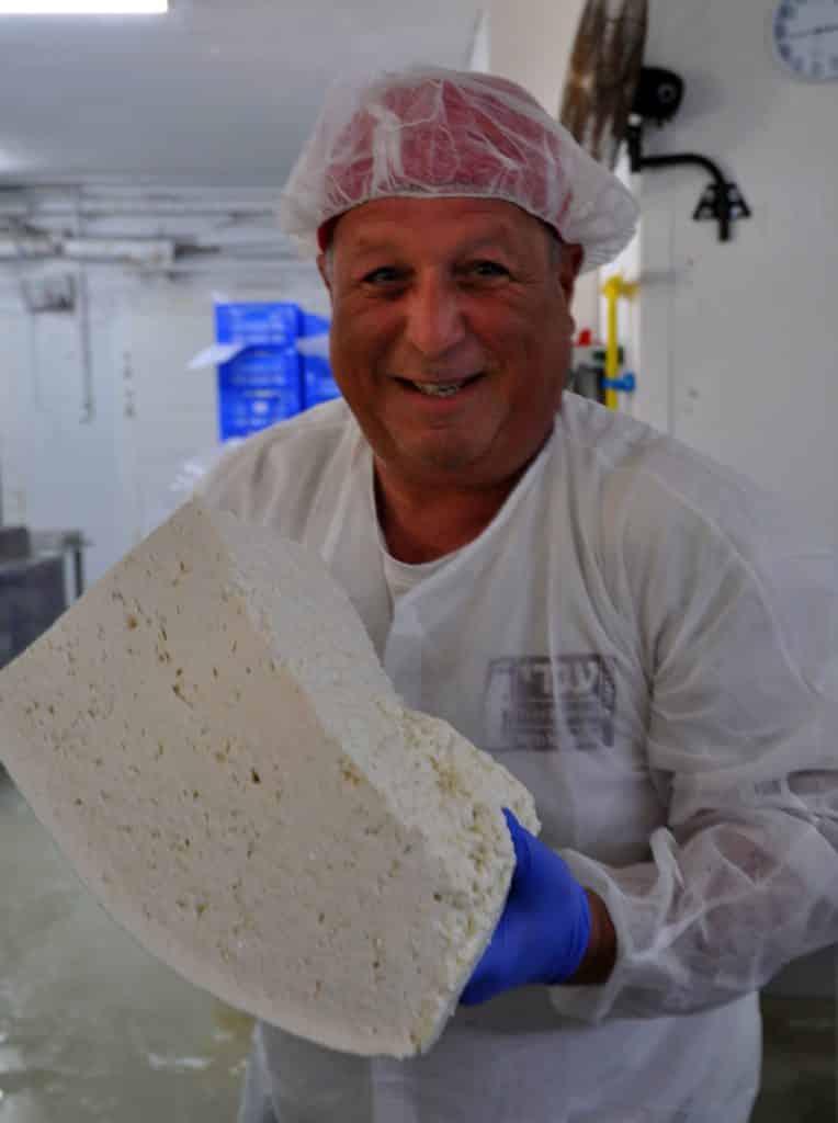 דוד עברי מציג: ככה עושים גבינה. צילום איריס לוי