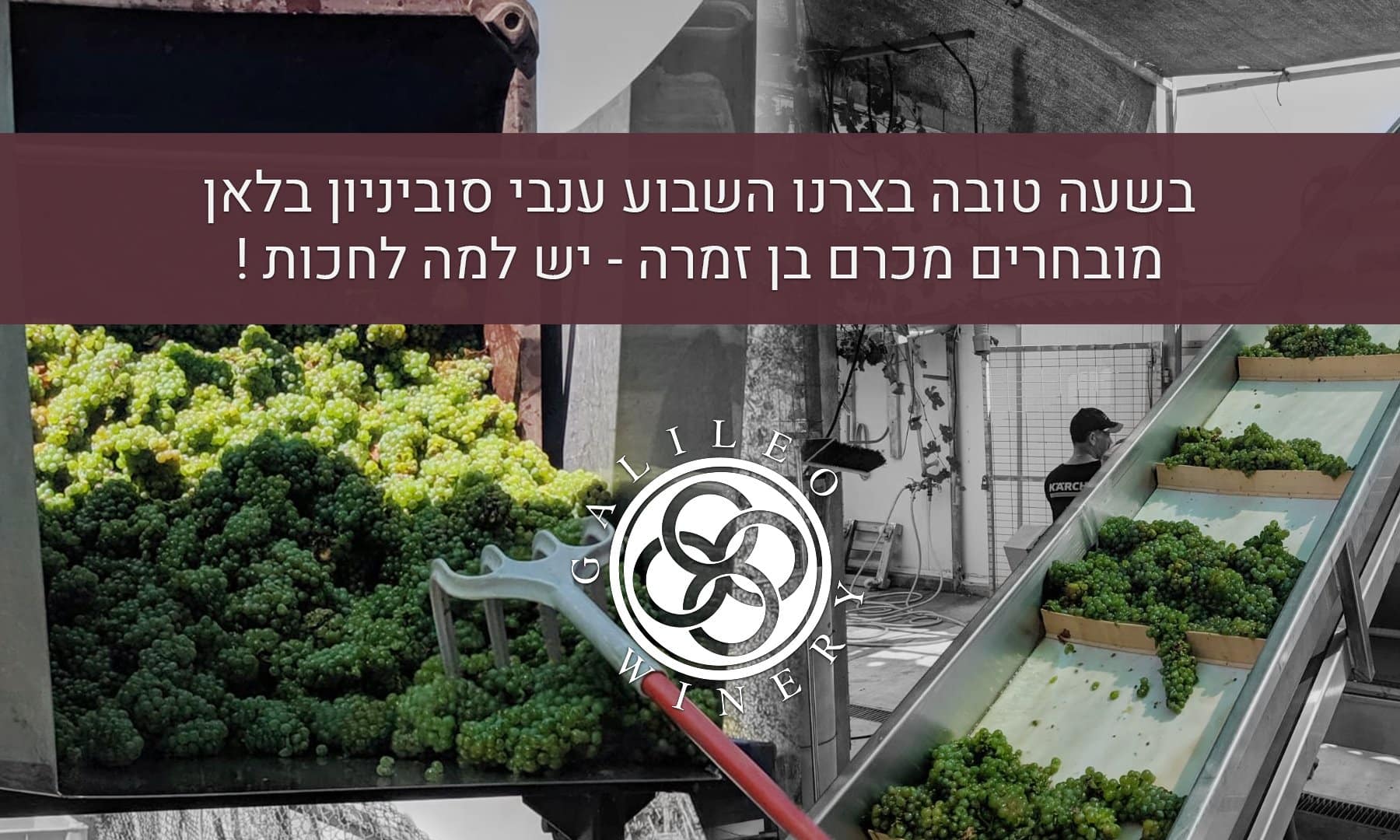 יין וג'אז: מדן ועד ספרד – סוביניון בלאן