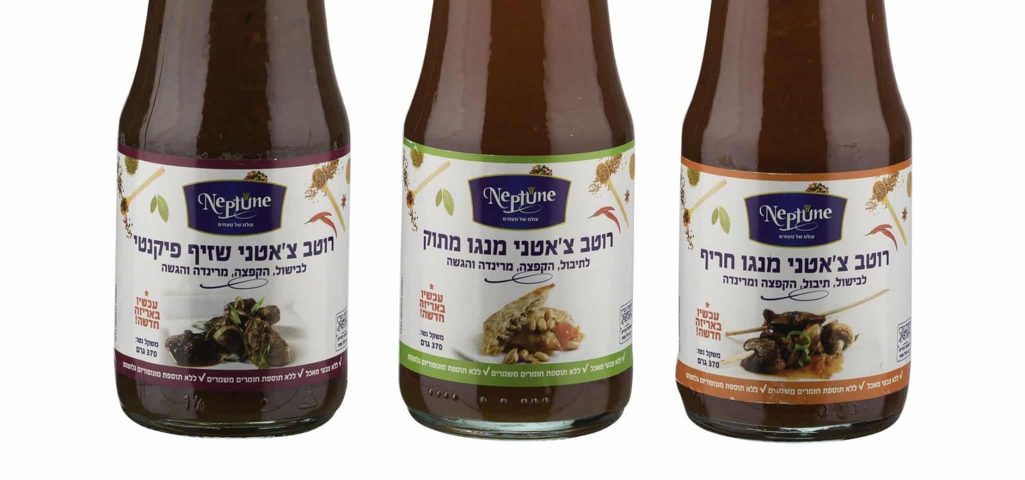 חדש מנפטון: סדרת רטבי צ'אטני