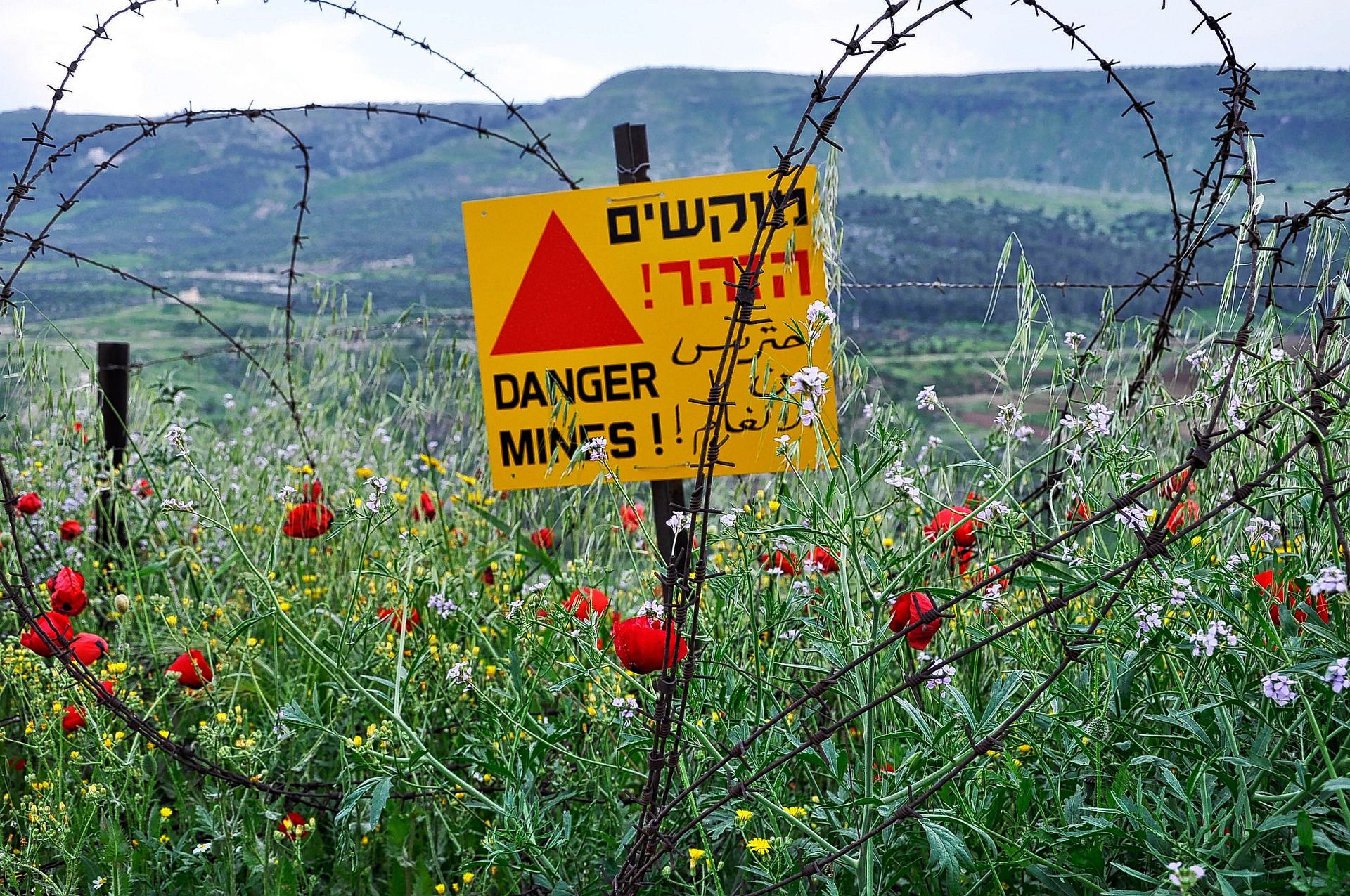 החלטת בית הדין האירופי – היקבים מרמת הגולן עלו על שדה מוקשים
