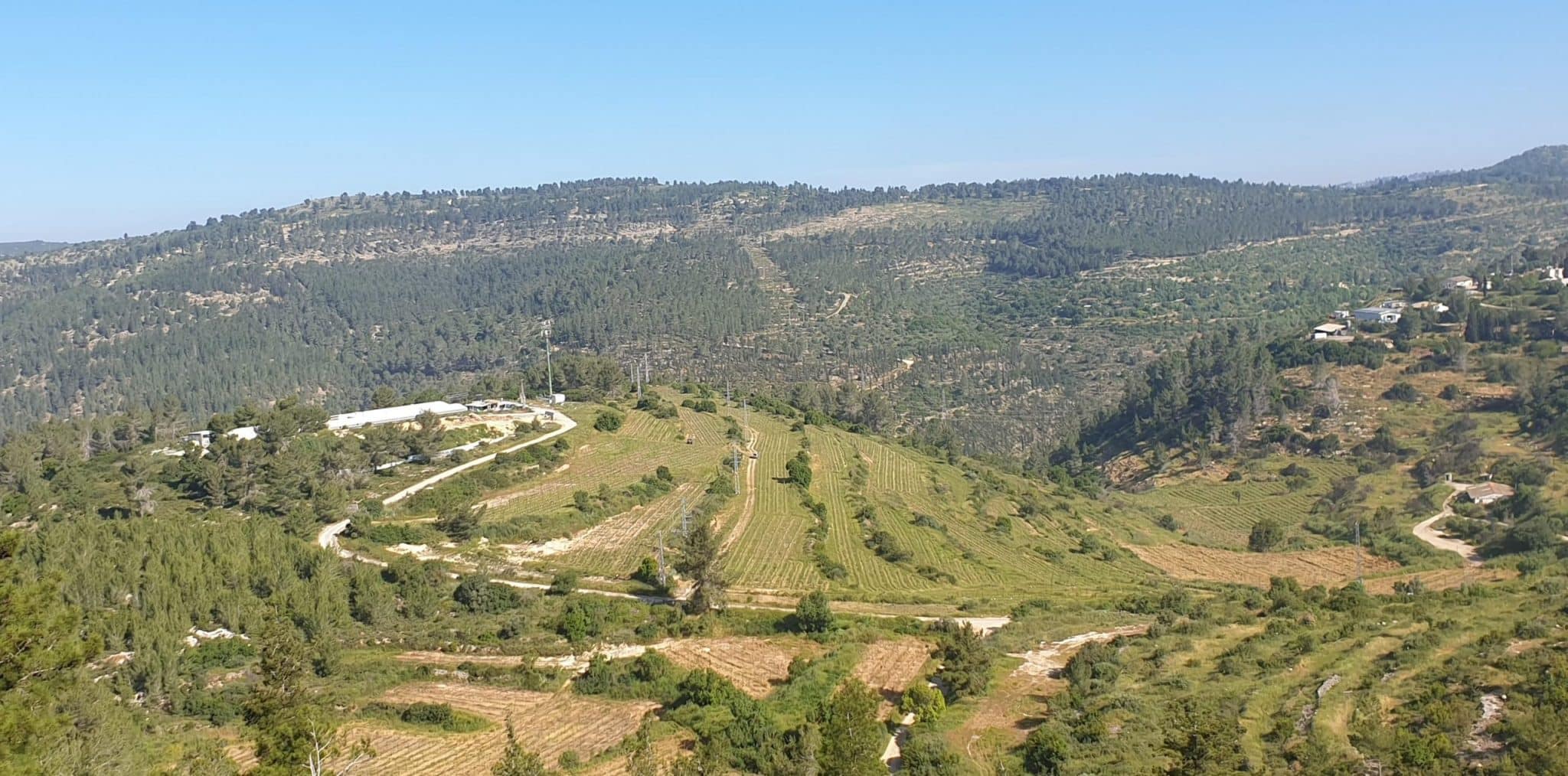 השבוע בענף היין 232: אדוני יושב הראש (יקב רמת הגולן), גברתי המנכ"לית (יקב עמק האלה)