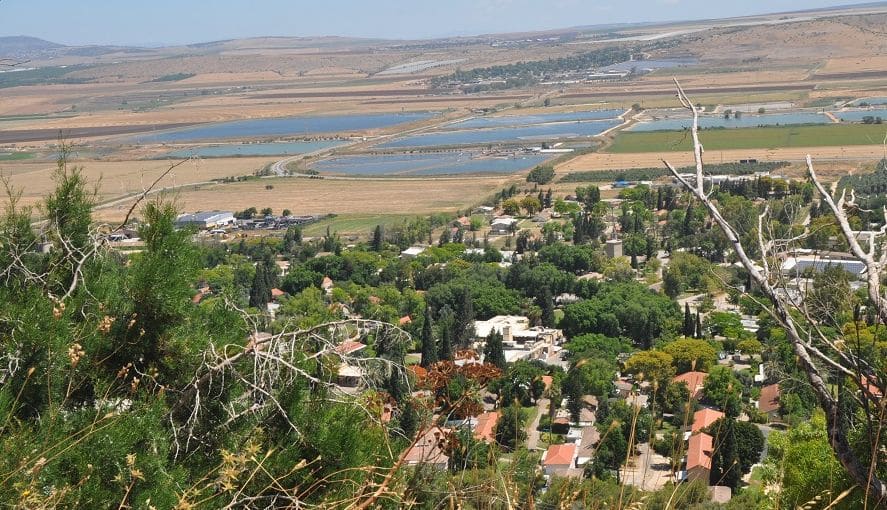 הגלבוע בירוק-צהוב – יממה בין עמק להר