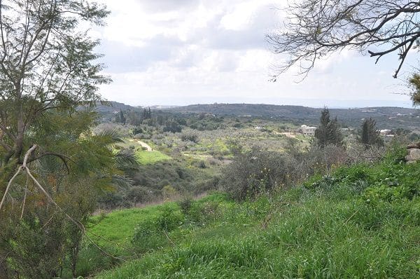 הגליל המערבי – לונה פארק של מראות ריחות וטעמים