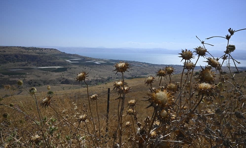 עצרו את העולם אני רוצה לרדת – חופשת קרוואן בטבע של רמת הגולן