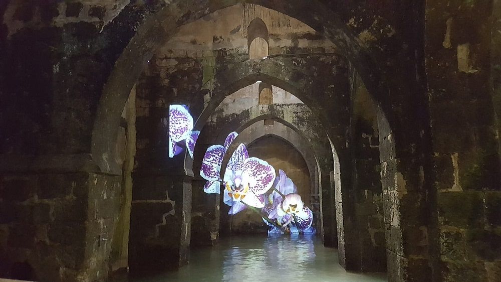 22-24.9.21: רמלה כמו שלא הכרתם – פסטיבל רמלה עיר עולם החמישי