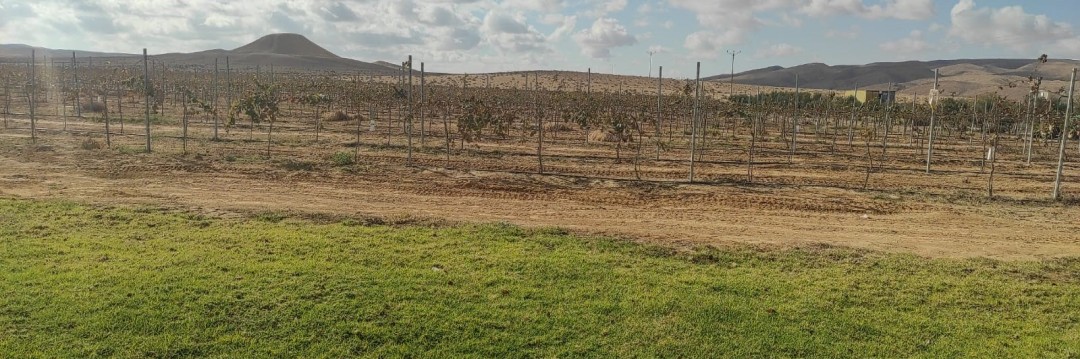 יונתן לבני מבקר יינות מהמדבר – יקב פינטו והיינן יעקב אוריה