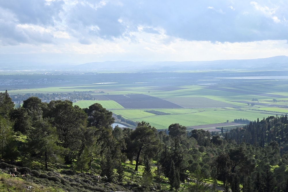 החגיגה הקולינרית חוזרת לעמק יזרעאל