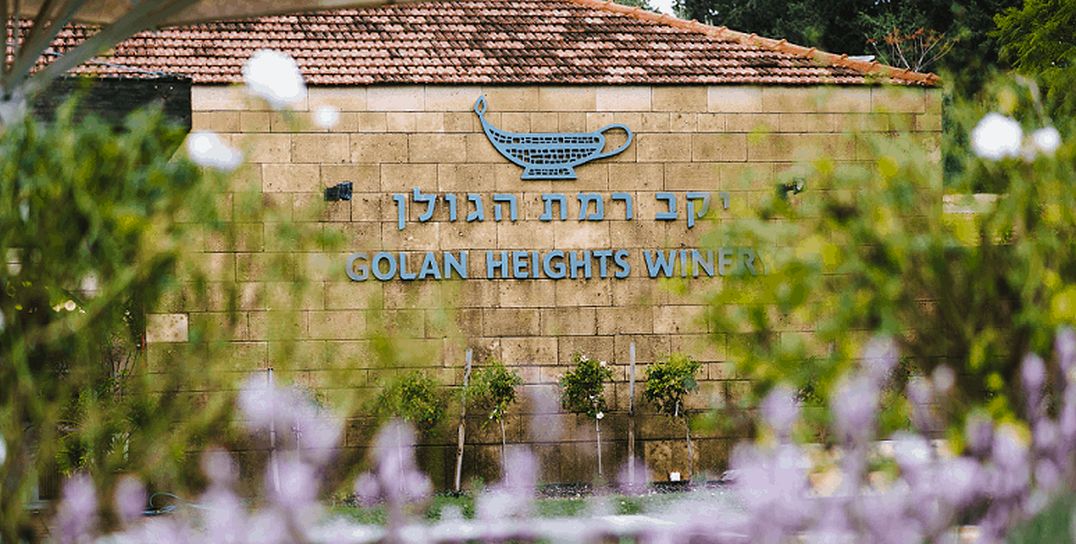 אסף בן דב הוא המנכ"ל החדש של יקב רמת הגולן – הרקע מאחורי המינוי