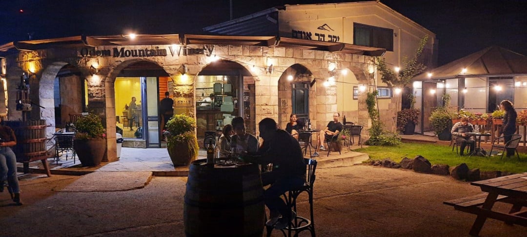יין וג'אז: קלאסי ומורכב – יקב הר אודם, איריס ועופר פורטוגלי ופרדי מרקורי