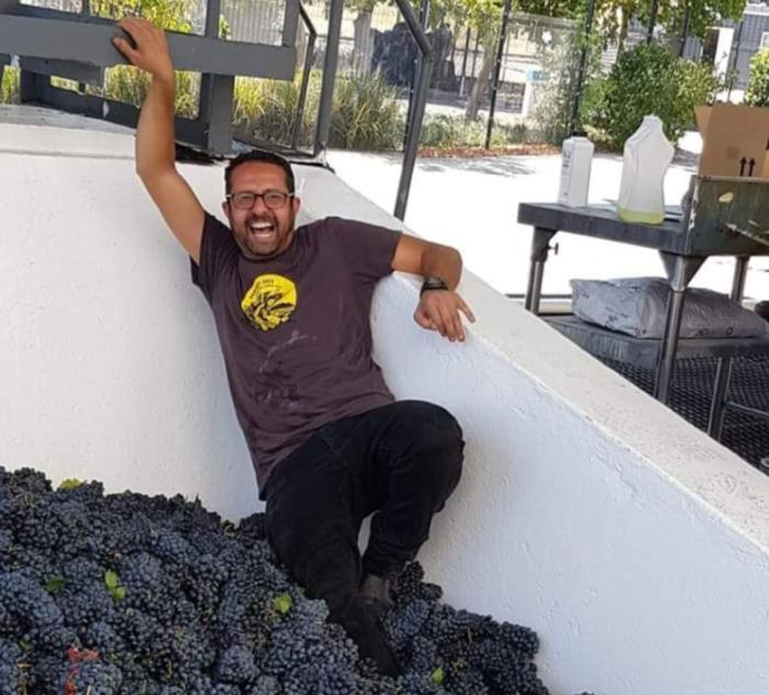 שמענו בין הגפנים 22.3.24: מחסלים את ענף היין, טעימות לקראת פסח וביקורות לא כל יום פורים, יקב כרמל צמא לעוד בירה