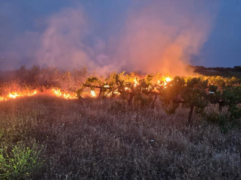 שמענו בין הגפנים 17.5.24: יום עצמאות עצוב, אור בקצה המנהרה של סָגַת יבוא היין, בית פתוח עצמאות באיש הענבים